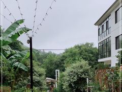 -Cafe In Little Forest