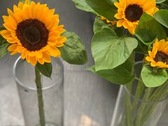 -吾生 My life花坊(复兴西路洋房店)