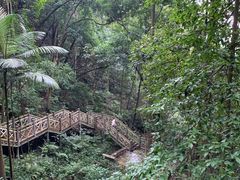 -南宁良凤江国家森林公园