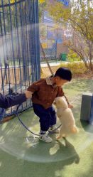 -萌宠亲子动物乐园(槐房万达店)