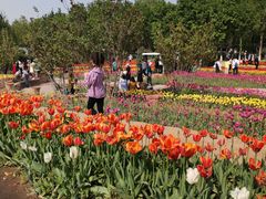 -石家庄市植物园