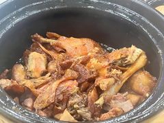 姜母鸭-斯丹姜母鸭·古法干香(涂门街总店)