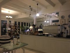 -Fern Forest Cafe