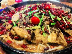 -老板恋上鱼(高新万达店)