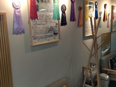 -猫十亿·布偶金渐层·曼基康矮脚猫舍(青年路店)