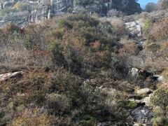 -北京密云天门山风景区