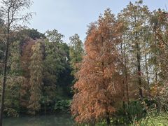 -云溪植物园