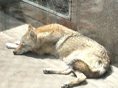 -西安秦岭野生动物园