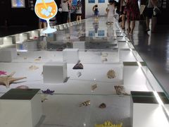 -贝壳王国博物馆