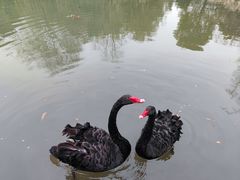 -天目湖涵田度假村