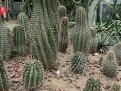 -郑州植物园