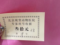 -北京观赏动物医院·24小时大型综合·猫专科·异宠专科