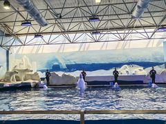 -秦皇岛乐岛海洋王国