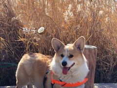 -绿堤公园