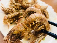 -友强·23年特色海鲜大排档(厦门店)