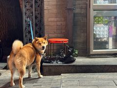 -郭记小街麻辣烫(南小街总店)