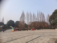 -金沙遗址博物馆