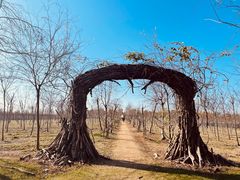 -上海海湾国家森林公园