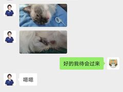 -伟伟宠物医院·CT影像中心·瑞派犬猫综合性门诊(汉口总院)