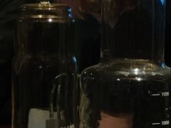 -来回·咖啡(天河南店)