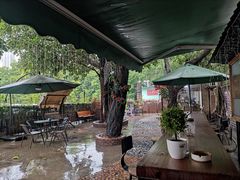 -柴犬高等学院·狗咖·柴犬售卖·宠物训练