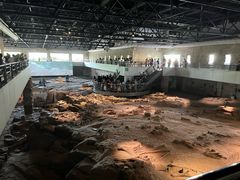 -自贡恐龙博物馆