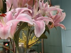 -南堂馆·新川菜(春熙路店)