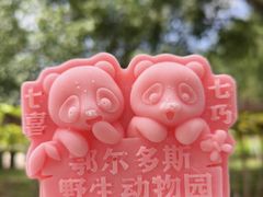 -鄂尔多斯野生动物园