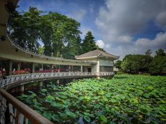 -荔湾湖公园