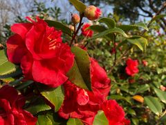 -苏州河梦清园环保主题公园