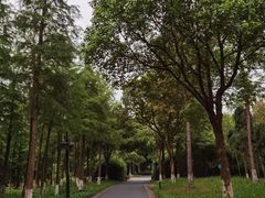 -西溪国家湿地公园