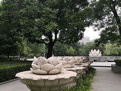 -木塔寺遗址生态公园