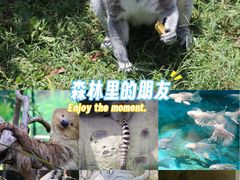 -杭州野生动物世界