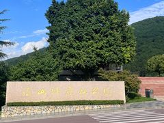 -铁山坪森林公园