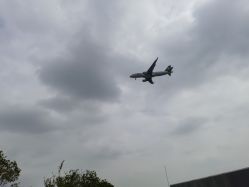 -小蜜蜂农场(凯德七宝购物广场店)