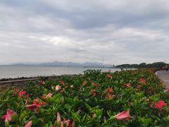 -深圳湾公园(南山区)