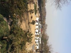 iphone_upload_pic-盆景园(扬州大运河文化旅游度假区)
