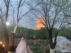 -Supine Bistro溯泮餐厅