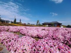 -中国天府农业博览园