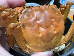 -七的湖·晚芳亭·阳澄湖农家菜·大闸蟹(莲花岛店)