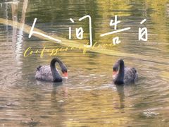 -蜀辣居鲜货老火锅(双流万达店)