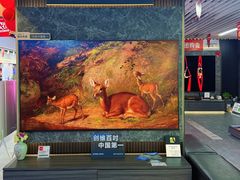 -苏宁易购(Suning Pro深圳华强北店)