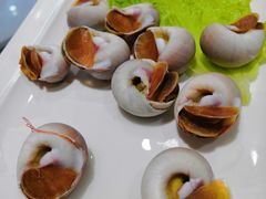 香螺-宝源大酒店(胶州海鲜街店)