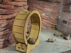 -正佳雨林生态植物园