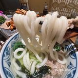 卧槽卧槽！💰120在国金附近吃一桌貌美日料！