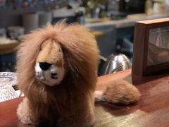 -咖法森林·咖啡  酒吧(天河店)