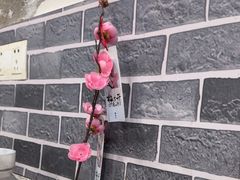 -天治宣·野椒鸡(龙头寺总店)