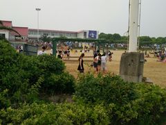 -碧海金沙