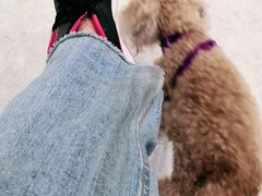 -纳吉亚猫专科动物医院·北北分院