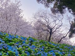 -苏州上方山国家森林公园